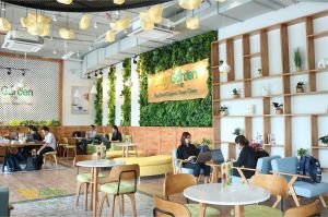 Bài học từ câu chuyện của Soya Garden