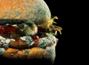 Học gì từ chiến dịch “Moldy Whopper” - Burger King